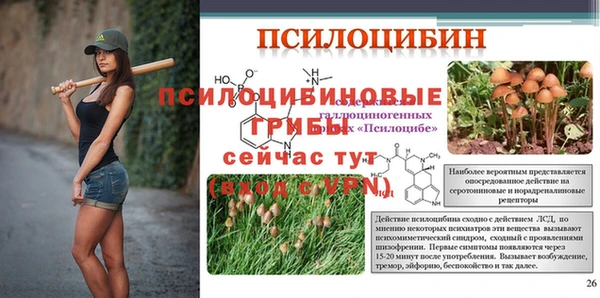 герыч Ахтубинск