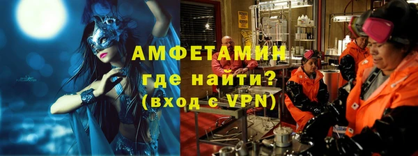 ПСИЛОЦИБИНОВЫЕ ГРИБЫ Вяземский