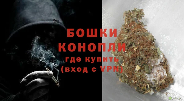 гашик Новокубанск