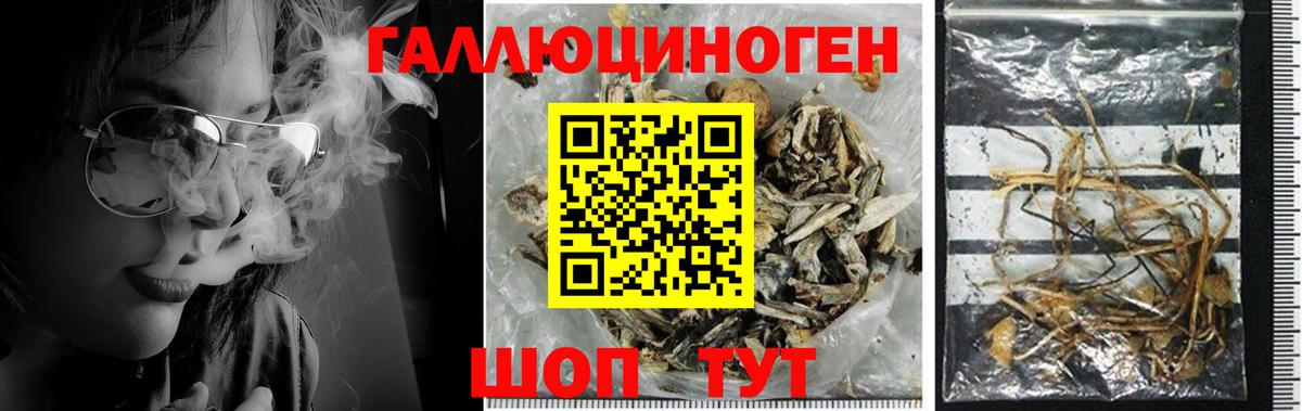 Псилоцибиновые грибы Magic Shrooms  Вход с VPN  Галлюциногенные грибы Magic Shrooms  Бахчисарай 